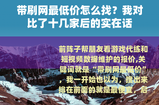 带刷网最低价怎么找？我对比了十几家后的实在话