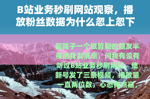 B站业务秒刷网站观察，播放粉丝数据为什么忽上忽下