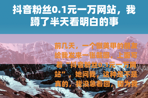 抖音粉丝0.1元一万网站，我蹲了半天看明白的事