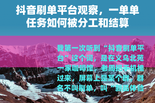 抖音刷单平台观察，一单单任务如何被分工和结算