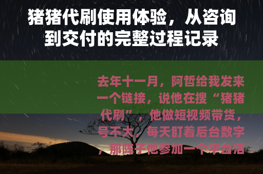 猪猪代刷使用体验，从咨询到交付的完整过程记录