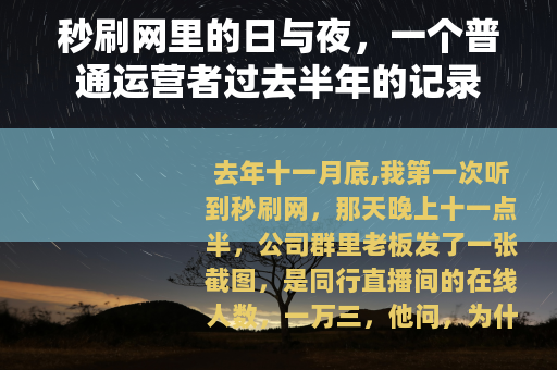 秒刷网里的日与夜，一个普通运营者过去半年的记录