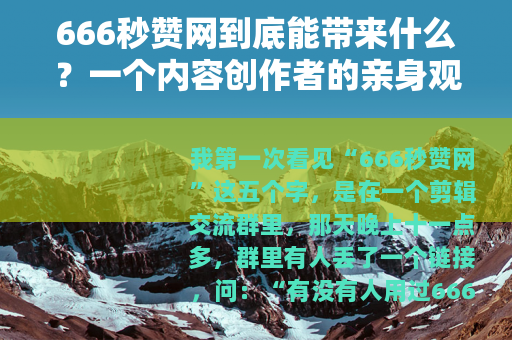 666秒赞网到底能带来什么？一个内容创作者的亲身观察