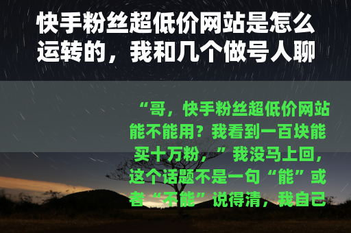 快手粉丝超低价网站是怎么运转的，我和几个做号人聊了聊