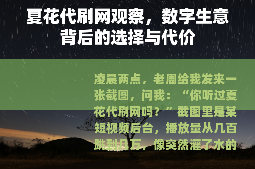 夏花代刷网观察，数字生意背后的选择与代价
