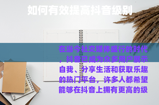 如何有效提高抖音级别