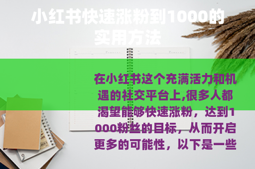 小红书快速涨粉到1000的实用方法