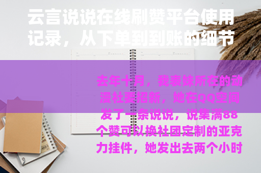云言说说在线刷赞平台使用记录，从下单到到账的细节