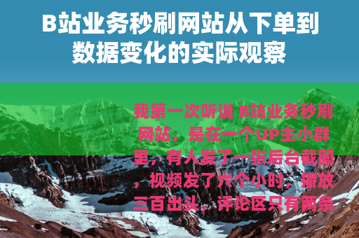 B站业务秒刷网站从下单到数据变化的实际观察
