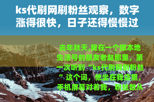 ks代刷网刷粉丝观察，数字涨得很快，日子还得慢慢过