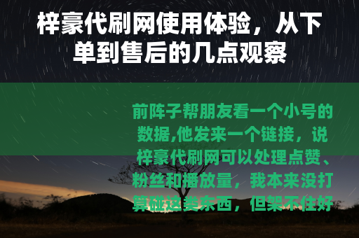 梓豪代刷网使用体验，从下单到售后的几点观察