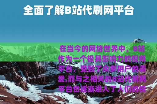 全面了解B站代刷网平台