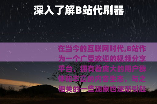 深入了解B站代刷器