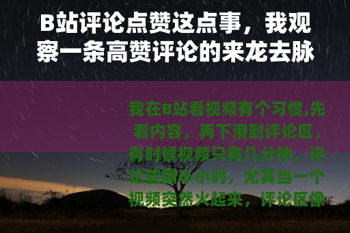 B站评论点赞这点事，我观察一条高赞评论的来龙去脉