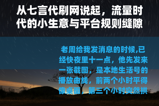 从七言代刷网说起，流量时代的小生意与平台规则缝隙