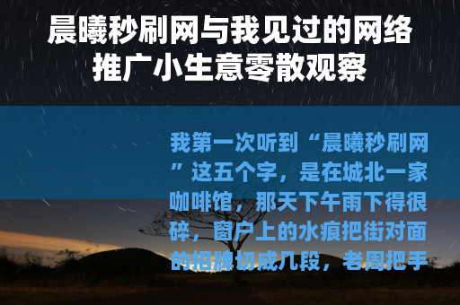晨曦秒刷网与我见过的网络推广小生意零散观察