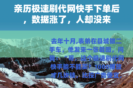 亲历极速刷代网快手下单后，数据涨了，人却没来