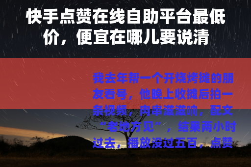 快手点赞在线自助平台最低价，便宜在哪儿要说清