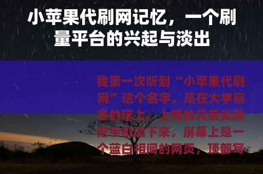 小苹果代刷网记忆，一个刷量平台的兴起与淡出