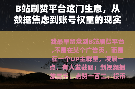 B站刷赞平台这门生意，从数据焦虑到账号权重的现实账