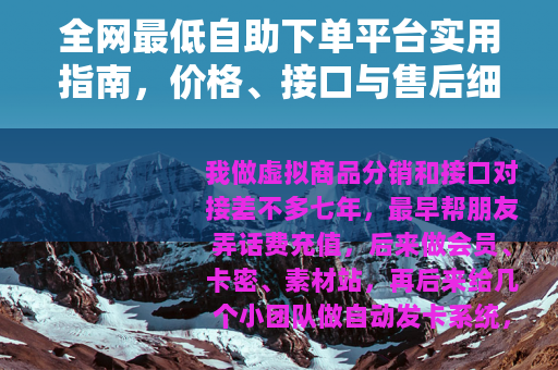 全网最低自助下单平台实用指南，价格、接口与售后细节