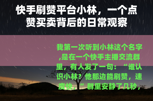 快手刷赞平台小林，一个点赞买卖背后的日常观察