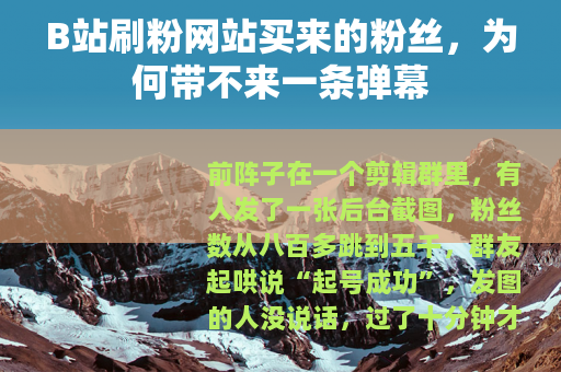 B站刷粉网站买来的粉丝，为何带不来一条弹幕