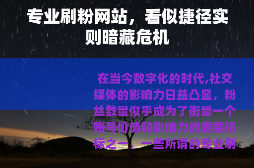 专业刷粉网站，看似捷径实则暗藏危机