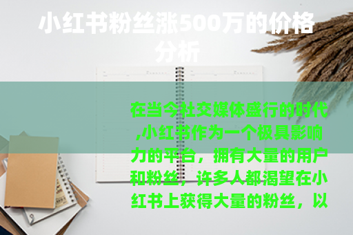 小红书粉丝涨500万的价格分析