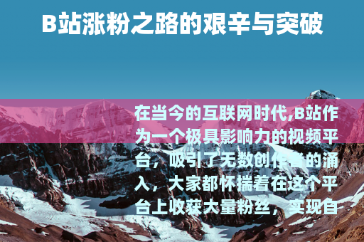 B站涨粉之路的艰辛与突破