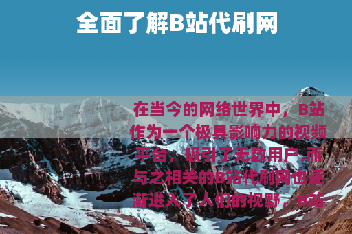 全面了解B站代刷网