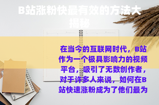 B站涨粉快最有效的方法大揭秘