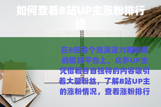 如何查看B站UP主涨粉排行榜