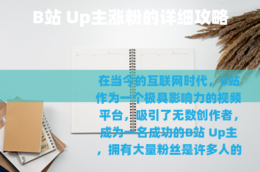 B站 Up主涨粉的详细攻略