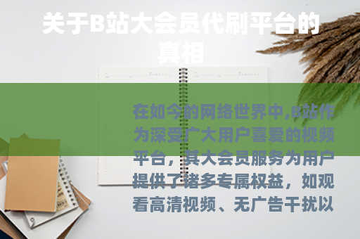 关于B站大会员代刷平台的真相