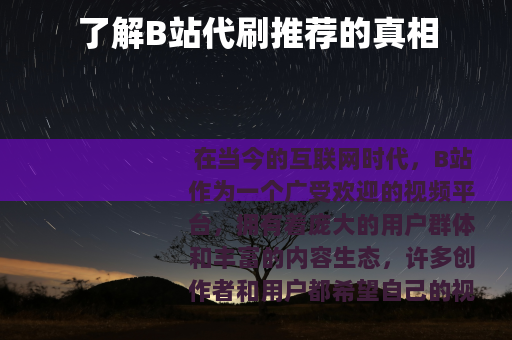 了解B站代刷推荐的真相