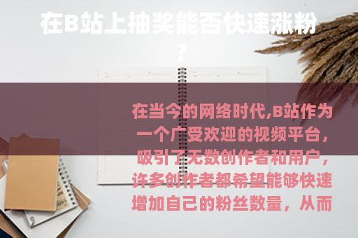 在B站上抽奖能否快速涨粉？
