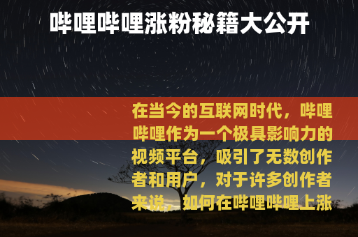 哔哩哔哩涨粉秘籍大公开