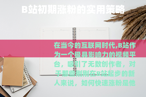 B站初期涨粉的实用策略