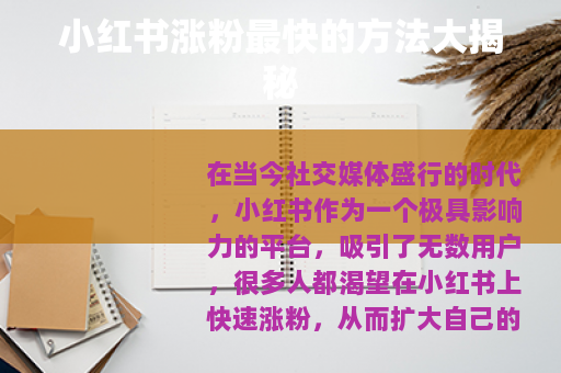 小红书涨粉最快的方法大揭秘