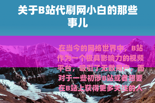 关于B站代刷网小白的那些事儿