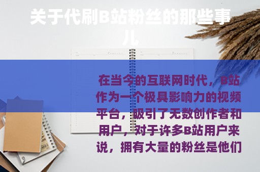 关于代刷B站粉丝的那些事儿