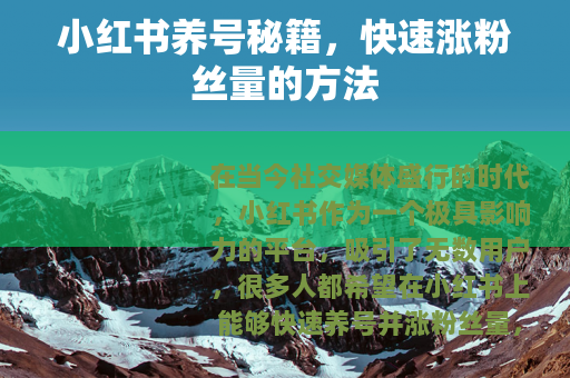 小红书养号秘籍，快速涨粉丝量的方法