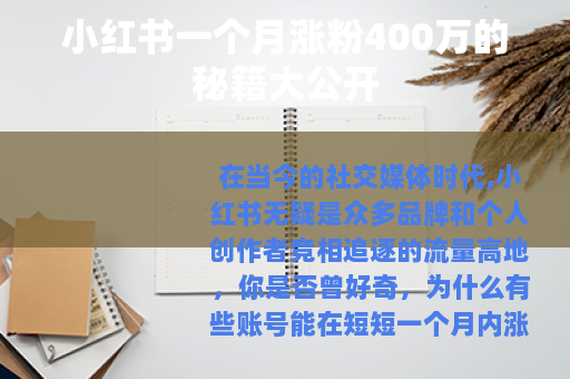小红书一个月涨粉400万的秘籍大公开