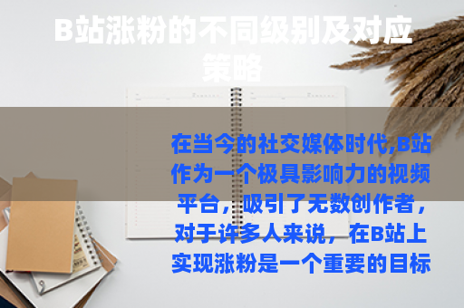 B站涨粉的不同级别及对应策略