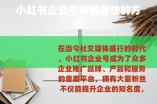 小红书企业号涨粉最快的方法