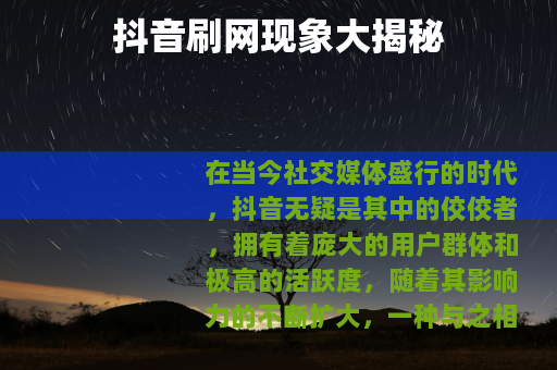 抖音刷网现象大揭秘