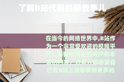 了解B站代刷的那些事儿