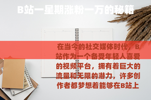 B站一星期涨粉一万的秘籍