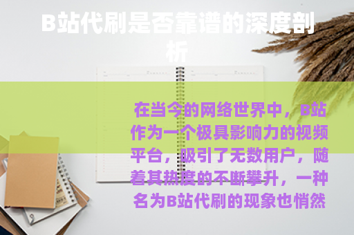 B站代刷是否靠谱的深度剖析
